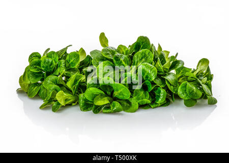 Heap green corn salad white isolated Stock Photo