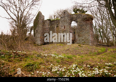 Auldhame Castle is a tower house standing on a ridge above Seacliff ...