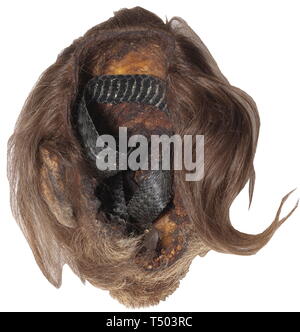 Piece Of Grey Hair Stock Photo 208995659 Alamy