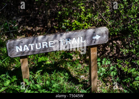 Wooden nature trail sign in a wood, Staffordshire, UK Stock Photo