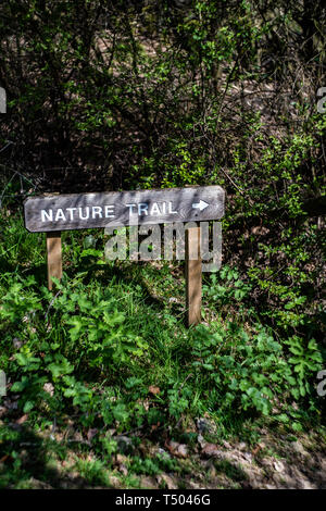 Wooden nature trail sign in a wood, Staffordshire, UK Stock Photo