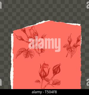 Trendy easy editable template for social media post in torn paper style. Roses flower theme Creative design background Stock Vector