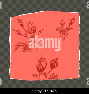 Trendy easy editable template for social media post in torn paper style. Roses flower theme Creative design background Stock Vector