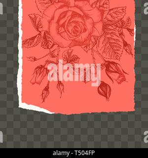 Trendy easy editable template for social media post in torn paper style. Roses flower theme Creative design background Stock Vector