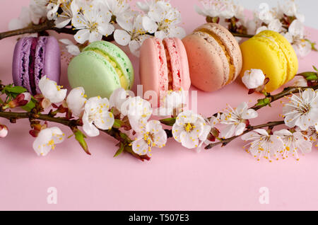Colorful french macarons or macaroons decorated with blooming apricot flowers on pastel pink background. No diet day and Mothers Day concept. Spring t Stock Photo