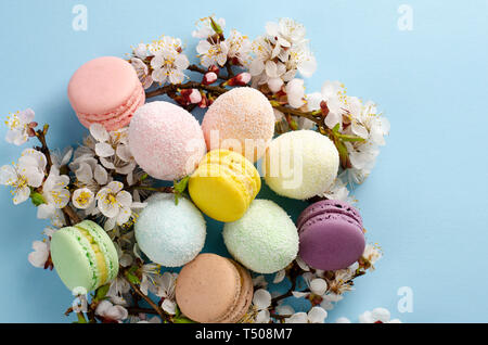Decorative Easter eggs and sweet macarons or macaroons decorated with blooming apricot flowers on pastel blue background. Top view. Copy space. Greeti Stock Photo