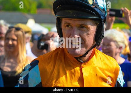 Hungerford, West Berkshire, UK. 19th Apr 2019. Melbourne 10 Racing Camel Racing winner AP McCoy (Sir Anthony Peter McCoy OBE, commonly known as AP McCoy ) former champion horse racing jockey The Peter O'Sullevan Lambourn Open Day is a unique opportunity to visit Lambourn Valley trainers' yards and come face to face with the horses and trainers along with their staff and jockeys in the morning with popular horse events in the main arena in the afternoon Stock Photo