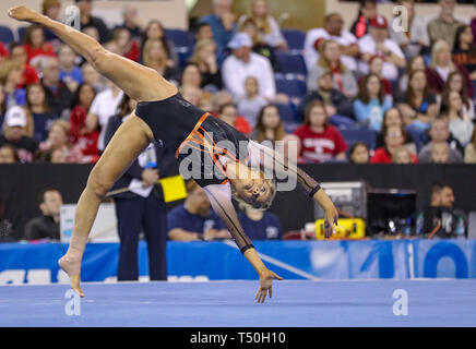 Fort Worth, TX, USA. 19th Apr, 2019. Oregon State's Savannah Force executes a tumbling pass on the floor during the NCAA 2019 Women's National Collegiate Gymnastics Championship Semi-Final 2 at the Fort Worth Convention Center in Fort Worth, TX. Kyle Okita/CSM/Alamy Live News Stock Photo