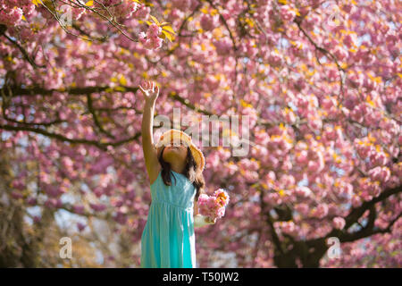 Pretty young girl in the park with pink cherry blossom trees UK Stock Photo