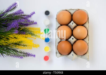 Easter brown chicken eggs in carton container, with paints, colorful palette, paint equipment on white background Stock Photo