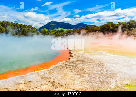 Geothermal pools in Wai-O-Tapu park, Rotorua, New Zealand Stock Photo