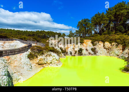 Water pond, made yellow by sulfur in Wai-O-Tapu Geothermal Wonderland, Rotorua, New Zealand. Copy space for text Stock Photo