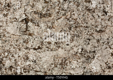 Brown granite, abstract texture. Can be used as background. Stock Photo