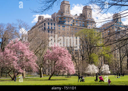 Central Park is beautiful in the springtime, NYC, USA Stock Photo
