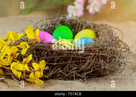 Easter eggs in basket with colorful decorated in rainbow of colors Stock Photo
