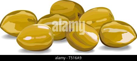 Olive berries on a white background vector Stock Vector