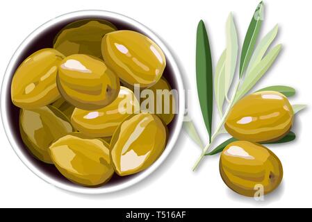 Olive berries on a white background vector illustration Stock Vector