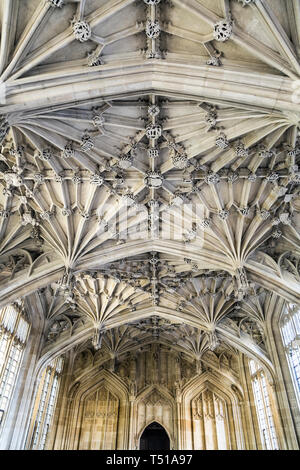 Vaulted ceiling and windows in a medieval interior of the The Divinity School in Oxford, UK Stock Photo