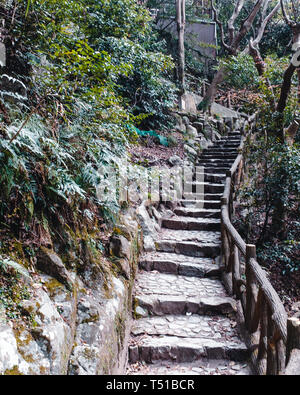 Hike to Nunobiki Water Fall in Kobe, Japan Stock Photo