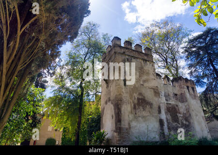 Old building in one of the gardens of the Real Alcázar Palace in Seville, Spain Stock Photo