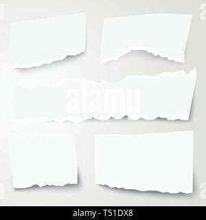 Set of Different Torn Paper Shapes. Vector Illustration. Stock Vector