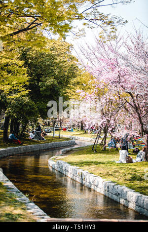 Cherry blossom park near Hiroshima Castle, Japan Stock Photo