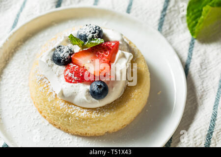 Homemade Mini Sponge Cake Cups with Fruit and Whipped Cream Stock Photo