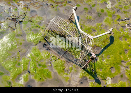 A supermarket trolley sunk in mud in the River Thames at Hammersmith. Stock Photo