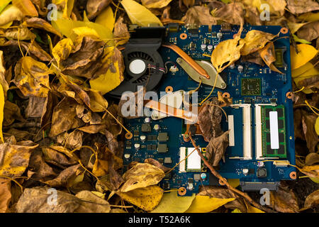 Electronic computer motherboard lying on the street in the autumn yellow fallen leaves Stock Photo