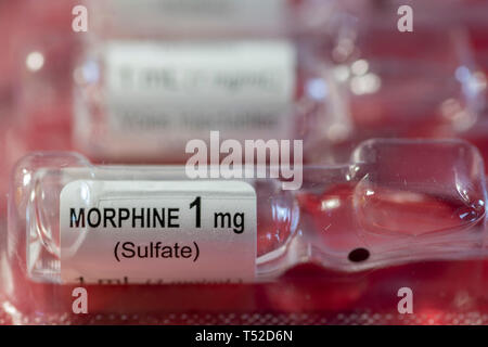 Close-up of morphine sulfate 1 mg/ml vial for injections or infusion against red background. Ideal for medical concept blogs or articles Stock Photo