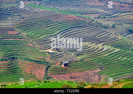 terraced fields in the mountains of northwest Vietnam Stock Photo