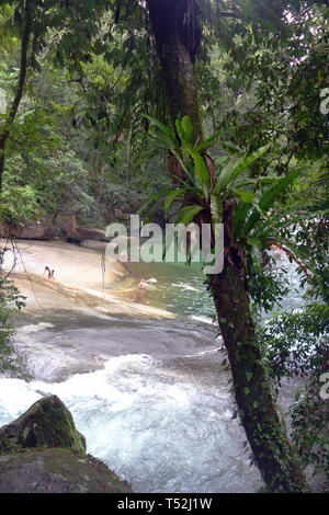 People amongst rainforest at Josephine Falls, Wooroonooran National Park, Wet Tropics World Heritage Area, Queensland, Australia. No MR Stock Photo