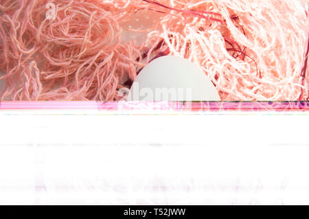 Shooting Easter, one egg on a pink background - damaged file. Abstract texture background noise Glitch camera VHS pixel error. For use in the modern f Stock Photo