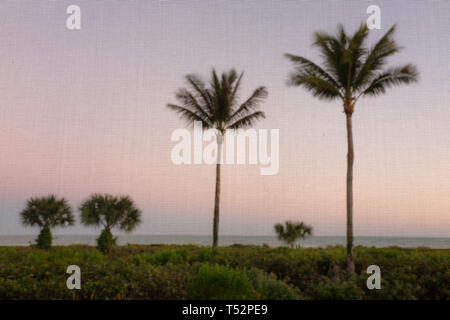 USA, Florida, Sanibel Island, palm trees seen through a screened window with the Gulf of Mexico in the background Stock Photo