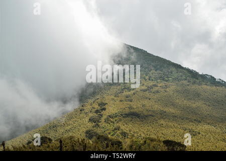 The volcanic mountain landscapes on the flanks of Mount Kenya, Aberdare Ranges, Kenya Stock Photo