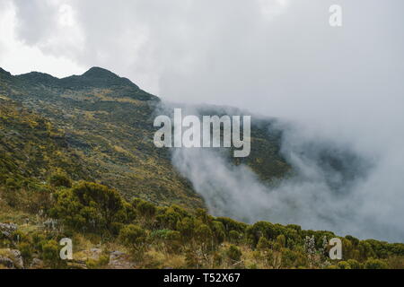 The volcanic mountain landscapes on the flanks of Mount Kenya, Aberdare Ranges, Kenya Stock Photo