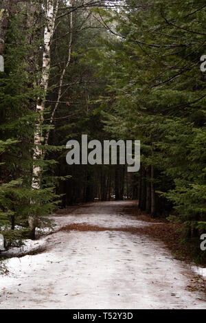 A shot from the hiking trails in Lester Park, Duluth, early spring. Stock Photo