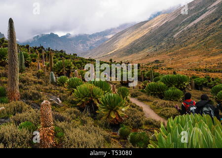 The volcanic landscapes of Mount Kenya Stock Photo