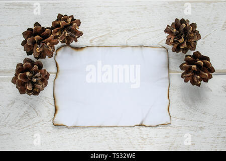 On white wooden boards, a sheet of paper burned along the edges, forest cones around the edges. Leaving space for text. Concept background. Stock Photo
