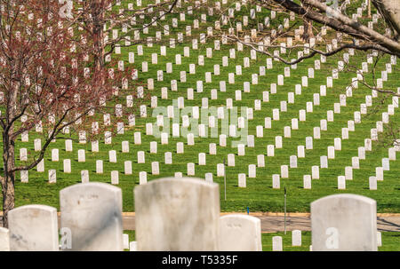 Washington DC / United States - April 03 2019: Headstones at Arlington National cemetery Stock Photo