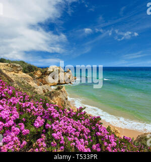 Summer blossoming Atlantic rocky coast view with purple flowers and narrow sandy beach, Albufeira outskirts, Algarve, Portugal. Stock Photo