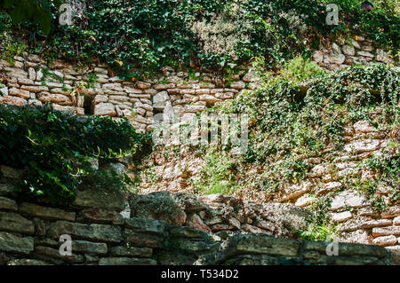 Old stone wall overgrown with green vegetation closeup as stone natural background Stock Photo