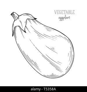 Eggplant isolated on white background. Vector illustration in sketch style. Stock Vector