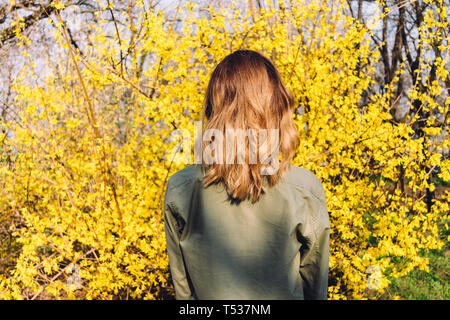 Women's hairstyle long wavy bob, rear view. Female standing near blooming spring yellow tree, sun shining on her hair. Stock Photo