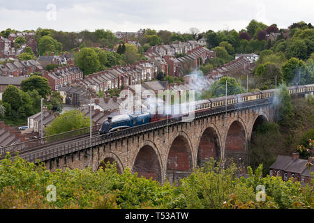 EX LNER streamlined A4 pacific steam locomotive 60007 Sir Nigel Gresley heads north over Durham city viaduct, May 2009, England UK Stock Photo