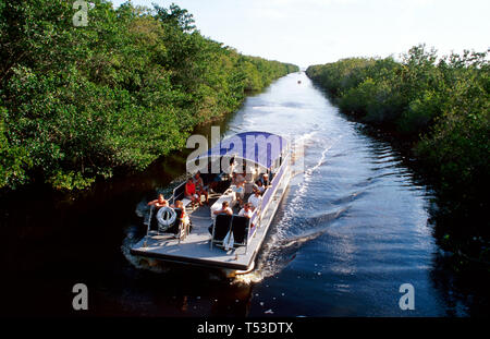 Florida Everglades National Park Flamingo Buttonwood Canal tour boat,visitors sightseeing mangrove trees, Stock Photo