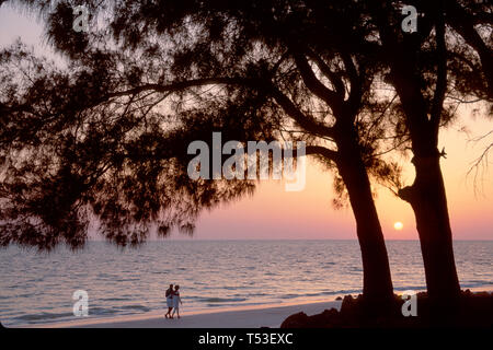 Florida Gulf Coast Manatee County Anna Maria Key pines couple,man men male,woman female women,beachcombing sunset,scenic,nature,natural,scenery,countr Stock Photo