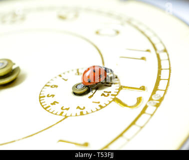 Ladybug on an old clock surface., image Stock Photo