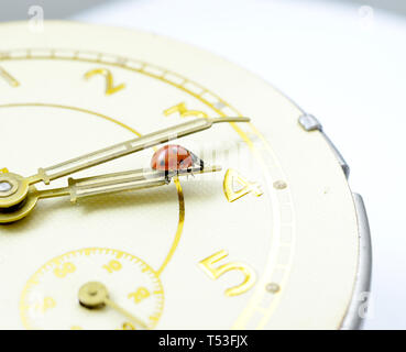 Ladybug on an old clock surface., time concept Stock Photo