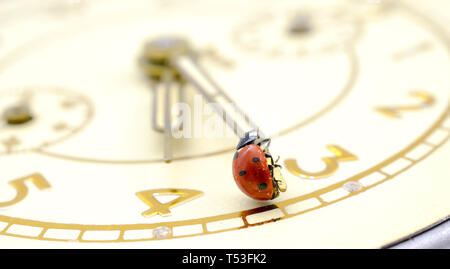 Ladybug on an old clock surface., time concept Stock Photo